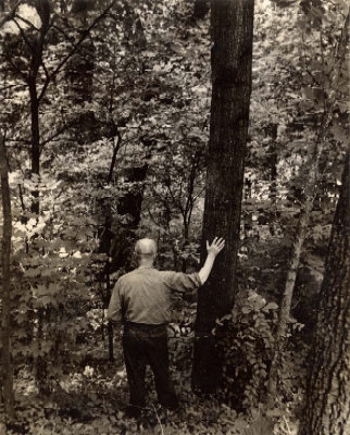 Tom Wallace at his home in Prospect, Kentucky. On the back of the photo Wallace writes: "It has been said that a man is made in one generation, a tree in three generations. But this tree grew tall while a man's hair grew thin." Filson Photograph Collection