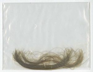 Lock of Albert Sidney Johnston’s hair (c. 1862). FOLDER 11, JOHNSTON FAMILY PAPERS, 1798-1943