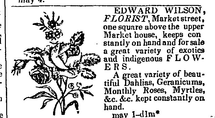 Louisville Daily Journal Classified Advertisement 30 May 1837 Edward Wilson, Florist