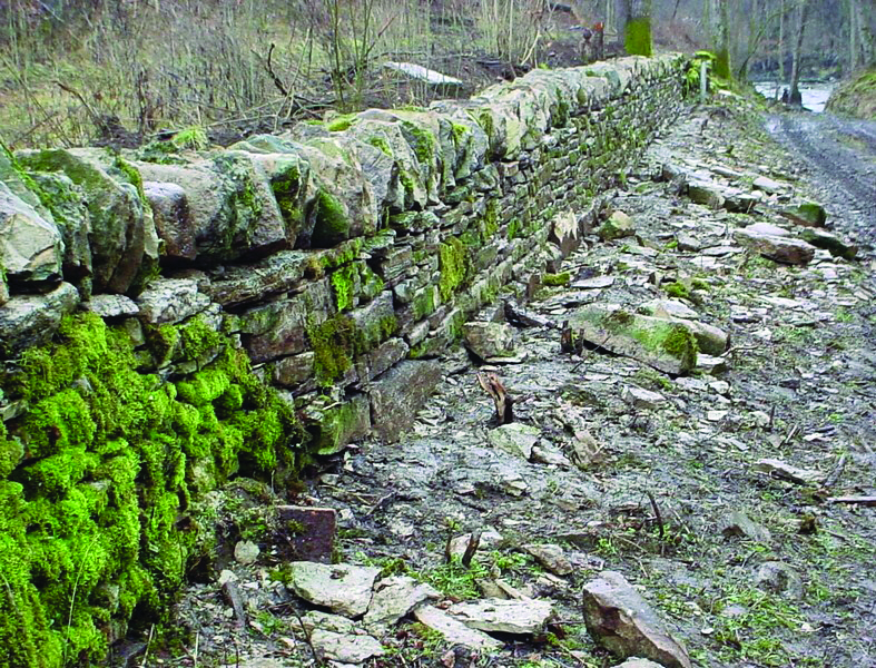 Lower Howards Creek copy