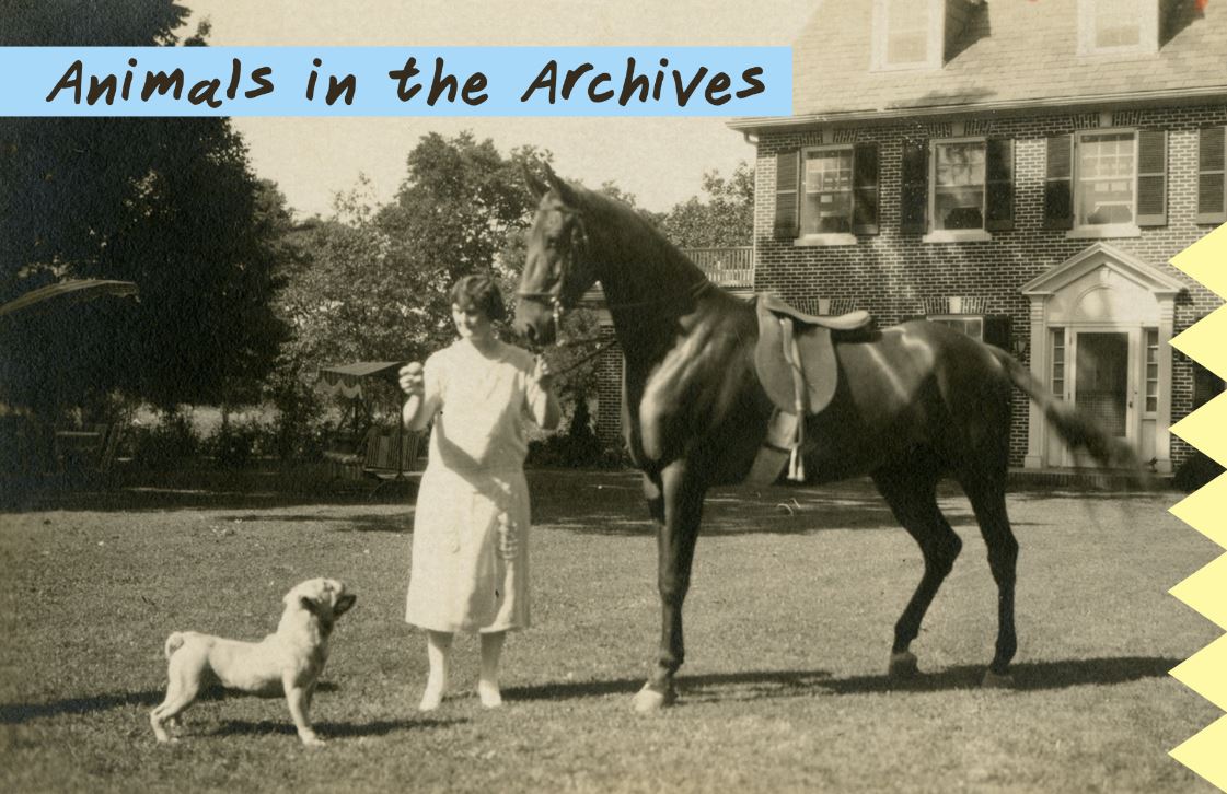 Woman in white dress standing with dog and horse in front of house.
