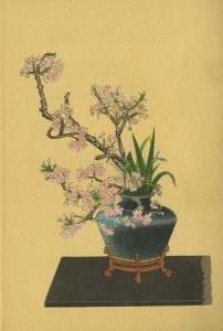 Flower arrangements of the ohara school_web
